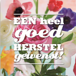 Jan van Meijeren naar een revalidatiecentrum