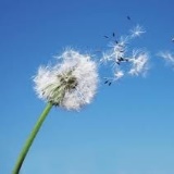 Voormalig ASWH-speler Marvin Nootenboom overleden