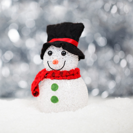 Nieuwjaarsreceptie uitgesteld